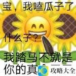 王思聪舔狗语录表情包大全